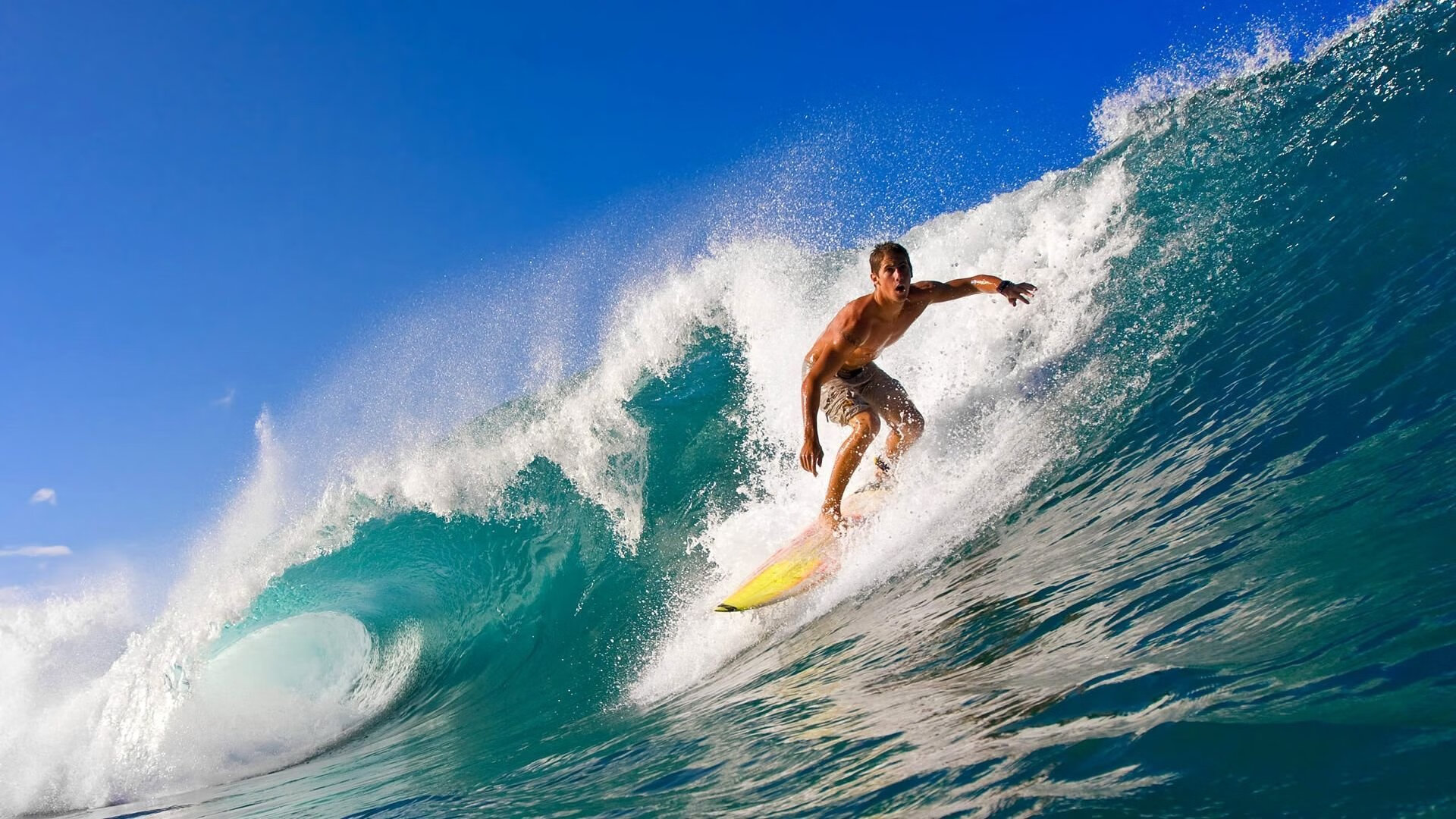 公牛队队员轮番上阵，力拼绝杀夺胜，公牛队有多强